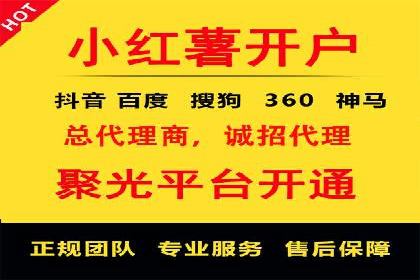经典案例：SEM代运营服务公司的成功之路